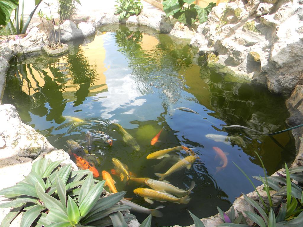Hacienda Coba Bed & Breakfast ภายนอก รูปภาพ