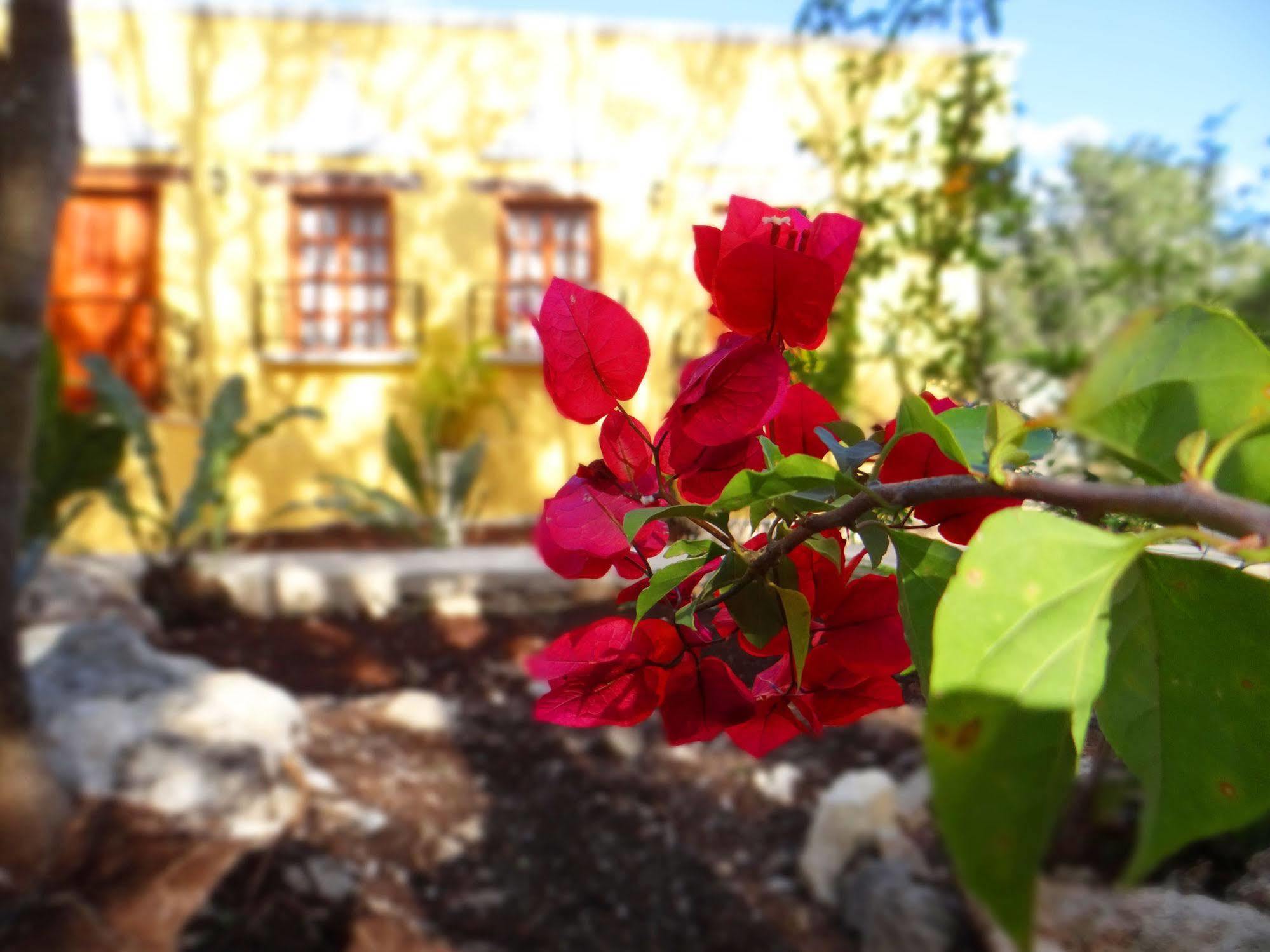 Hacienda Coba Bed & Breakfast ภายนอก รูปภาพ